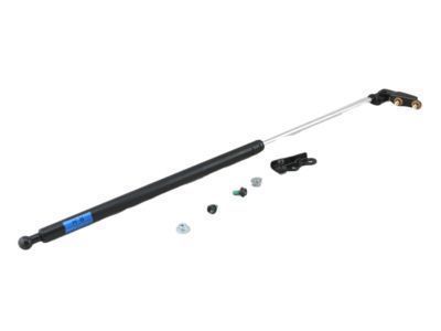Toyota Liftgate Lift Support - 68950-19895