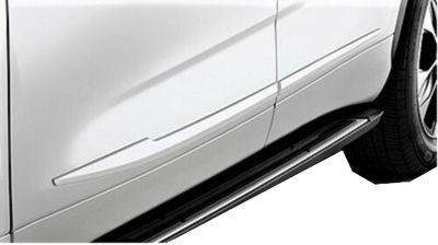 Toyota Body Side Moldings-(4X9)-Opulent Amber PT29A-48200-08