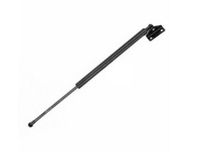 Toyota Liftgate Lift Support - 68907-39025