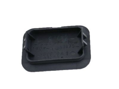 Toyota 61875-60020-D0 Lid, Spare Wheel Carrier