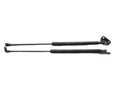 Toyota Prius Lift Support - 68960-0W531