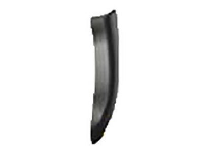 Toyota 75641-04020 MOULDING, Side Panel, Lower LH