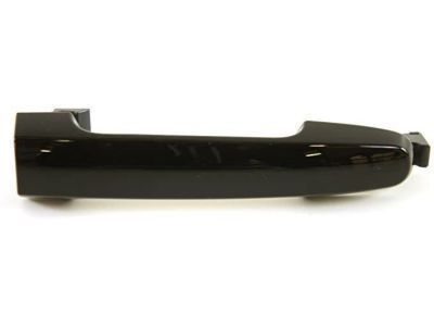 Toyota 69211-AA020-C0 Front Door Outside Handle Assembly,Right