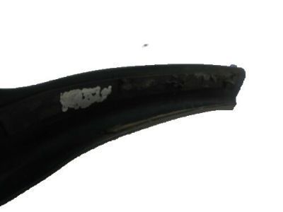 Toyota 75641-04010 MOULDING, Side Panel, Lower LH