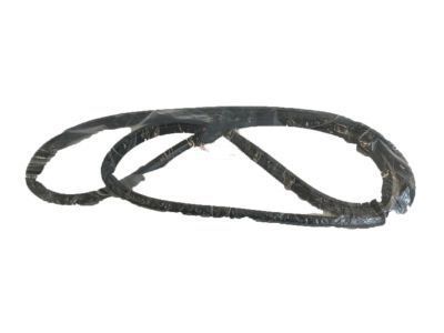 1997 Toyota Camry Weather Strip - 62311-AA020