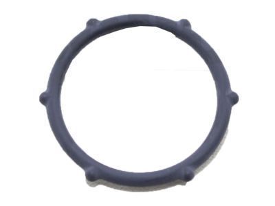 2019 Toyota Tacoma Water Pump Gasket - 90301-25020