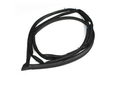 1999 Toyota Camry Weather Strip - 62312-AA020