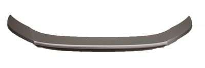 Toyota Rear Lip Spoiler PT938-18130-11