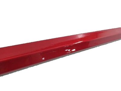 Toyota Body Side Molding -Titanium Glow PT938-47160-04