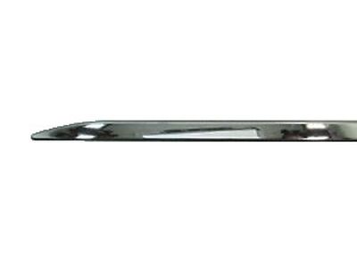 Toyota Body Side Molding PT942-0C180-RH