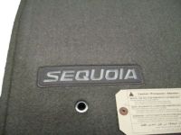 Toyota Sequoia Floor Mats - PT206-0C050-09