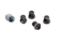 Toyota 4Runner Wheel Locks - PT276-35200-02