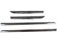 Toyota Corolla Body Side Moldings - PT29A-02200-01