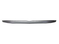 Toyota Avalon Body Side Moldings - PT29A-33075-RH