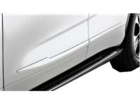 Toyota Highlander Body Side Moldings - PT29A-48200-08