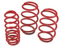 Lowering Springs