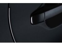 Toyota RAV4 Door Edge Guard - PT936-42130-23