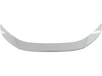 Scion Rear Spoiler - PT938-18130-10