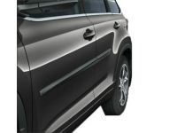 Toyota Body Side Moldings - PT938-48141-AB