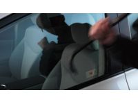 Rear Taillight Lens