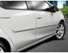 Body Side Moldings