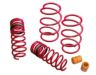 Lowering Springs