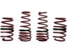 Lowering Springs
