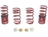 Scion FR-S Lowering Springs