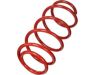 Toyota Yaris Lowering Springs
