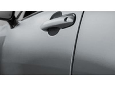 Toyota Door Edge Guards- (D10) - Silver Metallic PT936-16220-20