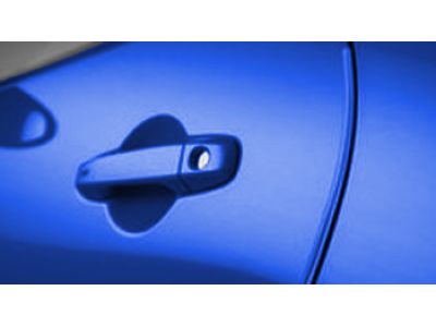 Toyota Door Edge Guard - Neptune (0DAR) PT936-18220-08