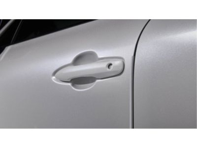 Toyota Door Edge Guards - (070) - Blizzard Pearl PT936-48210-00