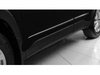 Toyota Body Side Moldings - PT29A-16220-21