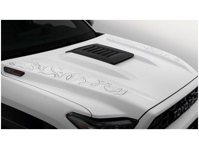PT929-89250-02 Toyota Topo-Graphics - Black On Clear Product Photo 1 of 1
