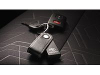 Toyota PT725-0315K Key Finder (10 Pack) with Display