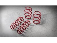PT843-1C170 Chr TRD Lwrng Sprngs Genuine Toyota Parts