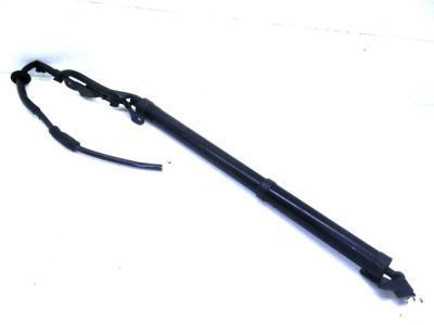 2019 Toyota Highlander Liftgate Lift Support - 68910-09053