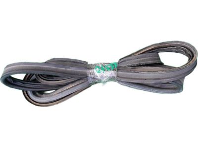 2008 Toyota 4Runner Door Seal - 62312-35020-E0
