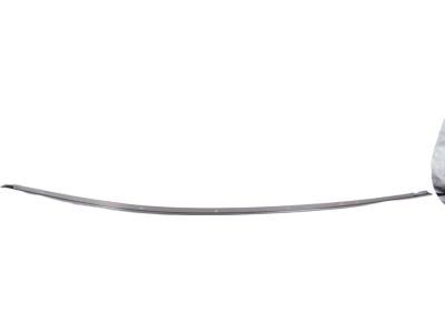 Toyota RAV4 Door Moldings - 75071-0R010