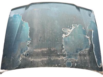 Toyota Land Cruiser Hood - 53301-60320
