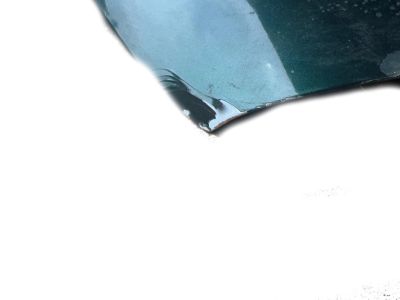 Toyota Land Cruiser Hood - 53301-60320