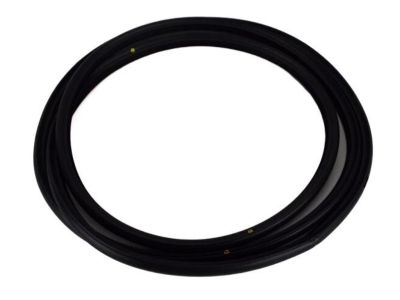 Toyota 63251-0E020 Weatherstrip, Sliding Roof