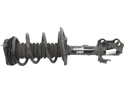 2016 Toyota RAV4 Coil Springs - 48131-0R190