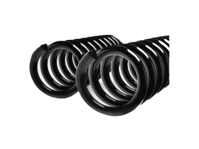 2003 Toyota Sienna Coil Springs - 48131-AE011