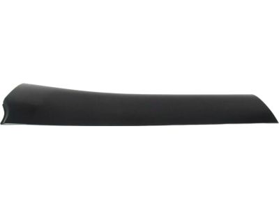 Toyota Highlander Door Moldings - 75742-0E903