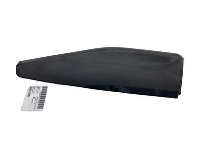 2019 Toyota C-HR Door Moldings - 75077-10011
