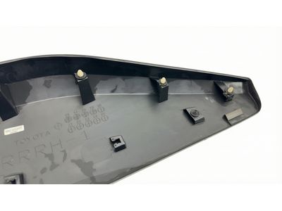 2019 Toyota C-HR Door Moldings - 75077-10011
