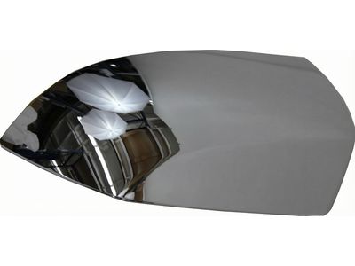 2017 Toyota Sequoia Mirror Cover - 87945-0C030