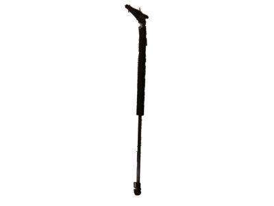 Toyota Corolla Liftgate Lift Support - 68960-02040