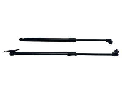 2018 Toyota Sienna Lift Support - 68950-08031